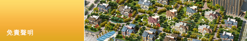 免責聲明